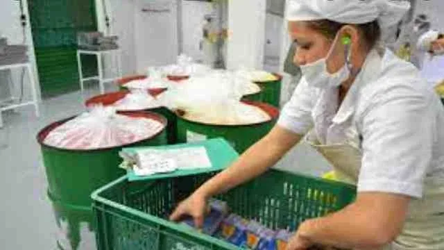 food processing industries in assam