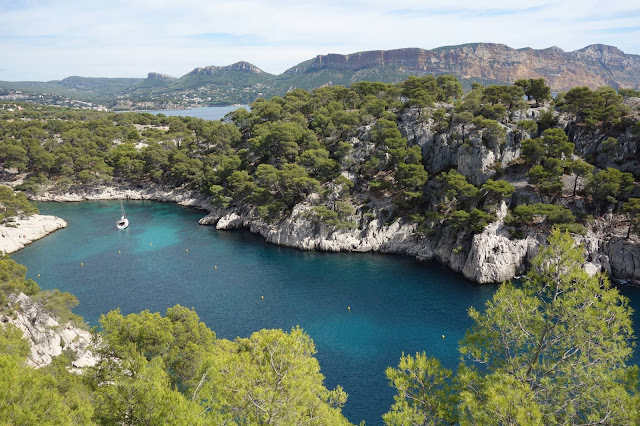 port-pin cassis