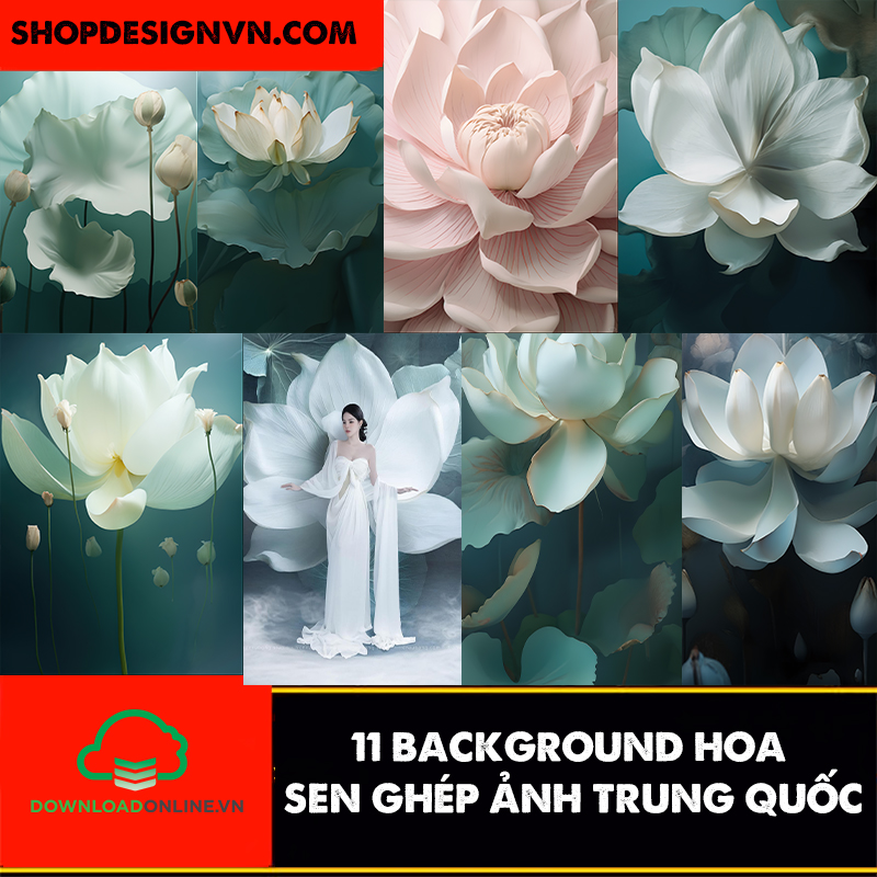 DL156 - 11 BACKGROUND HOA SEN GHÉP ẢNH TRUNG QUỐC 