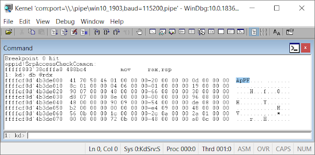 WinDBG window showing the hex output of the policy pointer which shows the on-disk policy.