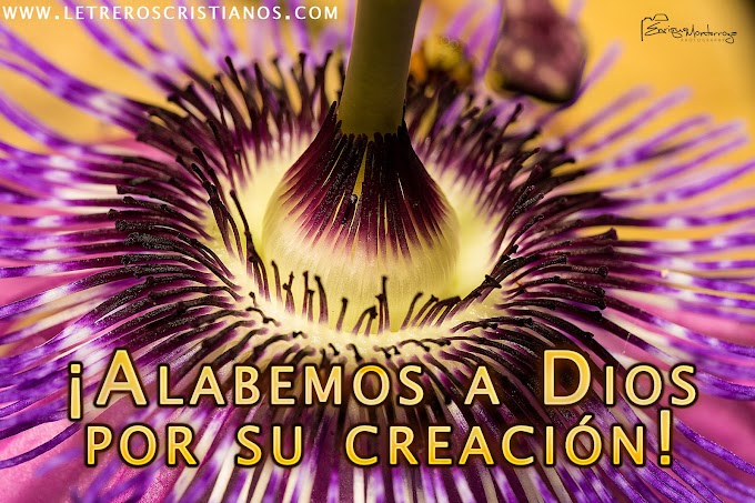 Imagen - Alabemos a Dios