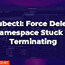 Kubectl: Force Delete Namespace Stuck in Terminating