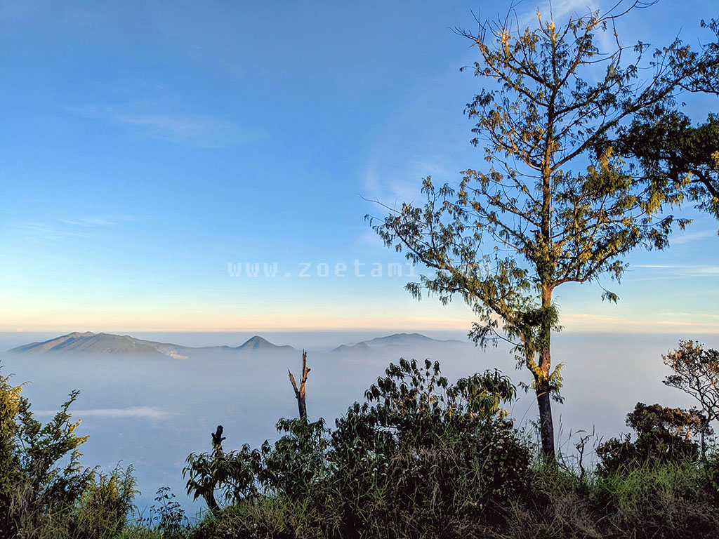 Pemandangan Puncak Gunung Cikuray