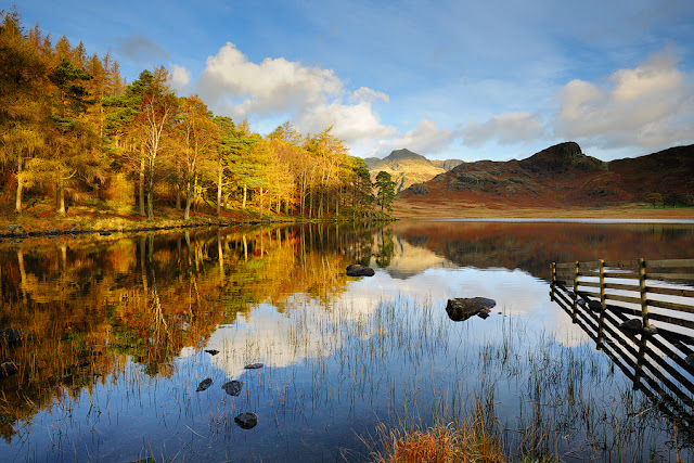 Blea Tarn, Lake District, John Robinson