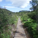 View album