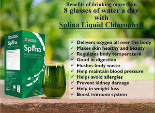 Edmark kenya splina liquid chlorophyll