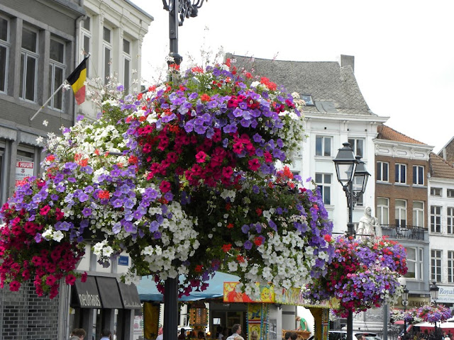 De Witten Vos Mechelen