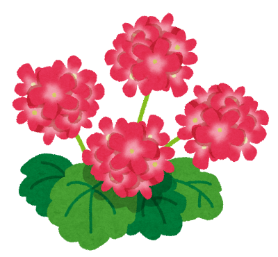 ゼラニウムのイラスト かわいいフリー素材集 いらすとや