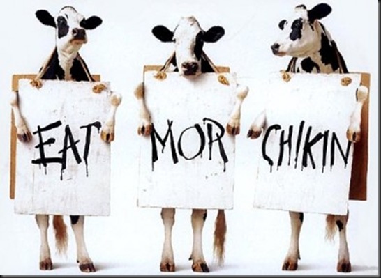 chikin-390x284