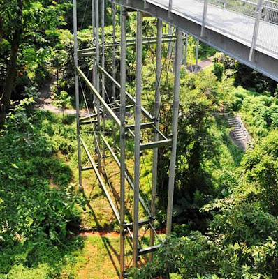 European Modern Eco-Walkway Bridges Infrastructure Design Telok Blangah Hill Park’s