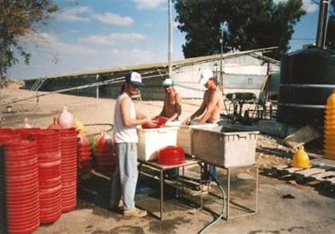 clip_image004
