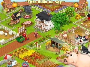 Hay Day V1.26.113 MOD Apk (Unlimited Everithing)