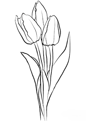 Flores para desenhar e colorir no papel - desenhos de Tulipa