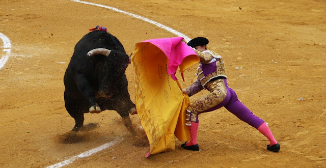 Travel around Spain - Bullfighting, Spain at its purest!