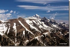 IMG_2115