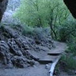 View album