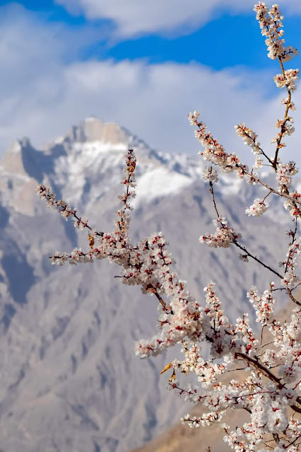 بلتستان کی حسن اور بہار کی آمد The beauty of Baltistan and the arrival of spring