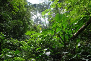 imagen de la reserva natural