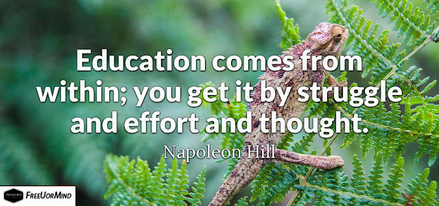 Education comes from within; you get it by struggle and effort and thought.  - Napoleon Hill
