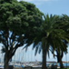 View album