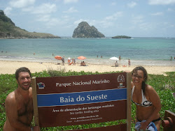 Placas