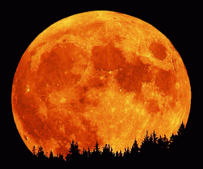 Commercial Moon Mission In Formation Known As The Golden Spike Company