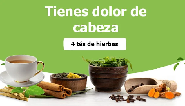 ¿Tienes dolor de cabeza? Prueba estos tés de hierbas