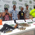 Cinco capturados en Dibulla portando armas, un kilo de marihuana y coca