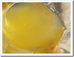 umeshu1
