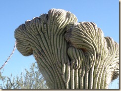 PC090068