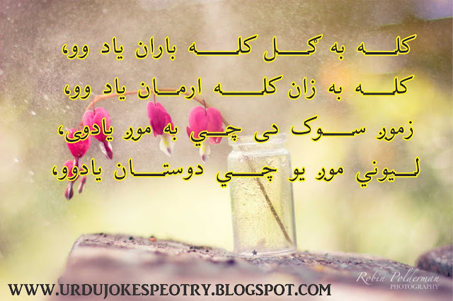 pashto poetry new 