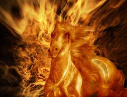 I've known for years I was a fire horse I had had NO CLUE that I had an