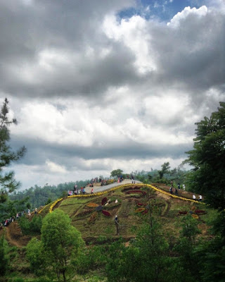 Bukit Bulu Batu Flower Garden