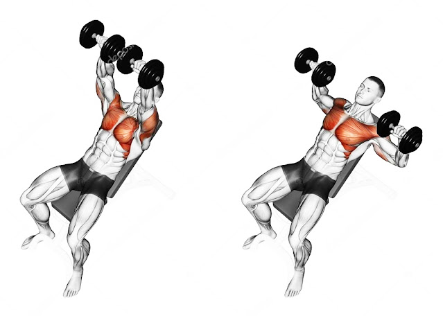 Dumbbell incline bench press