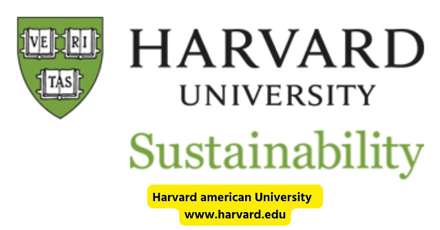 Harvard american University