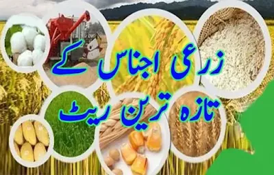 Agricultural commodities price in Pakistan today 2025 زرعی اجناس کے ریٹ