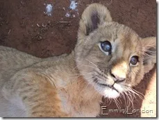 Big blue eyes