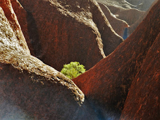 ayers rock cosa vedere australia