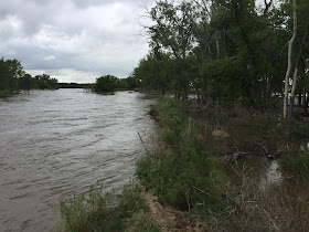 photo of high water near Messex Colorado