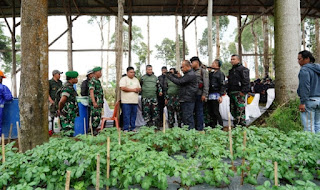 Bios 44 DC Inovasi Pangdam Siliwangi Menyasar Puluhan Hektar Lahan PTPN VIII