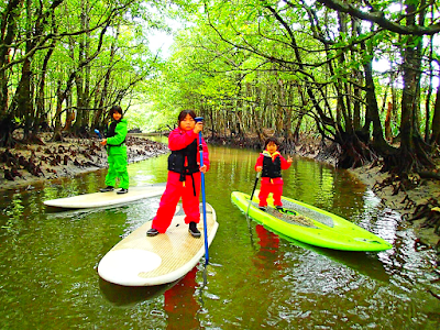 西表島旅行で人気No1のSUPツアーで2018年最高の島旅を！ケンガイドおすすめSUP秘境パワースポット巡りやシュノーケル・キャニオニングなど遊びは自由自在！女子旅行・学生旅行・家族旅行で観光アクティビティSUP体験を、西表島でSUP遊びを満喫しよう。