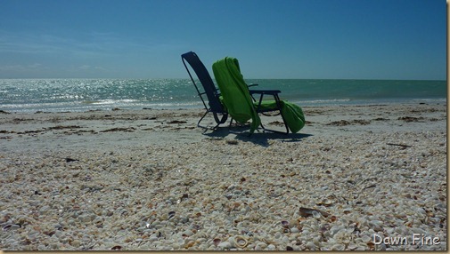 Sanibel Shell and birds_184