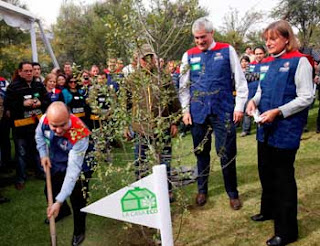 sodimac incia plantacion de arboles