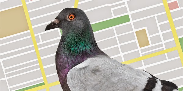 Google Pigeon