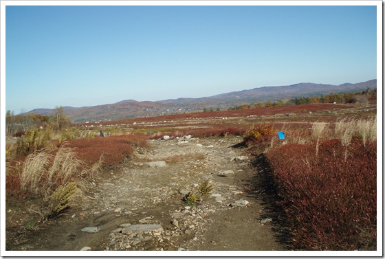 Clary Hill 066