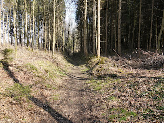 Aus dem Gleißental hochführende ehemalige Römerstraße