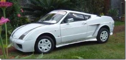 brasa lambo fail (2)