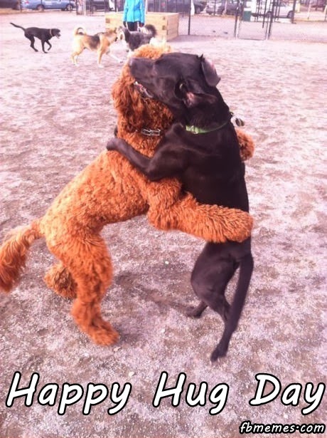 Happy Hug Day | Funny Dogs Photo
