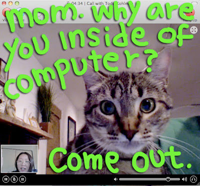 video-chat-cat-02