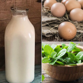 peppermint eggnog recipe for dogs and puppies